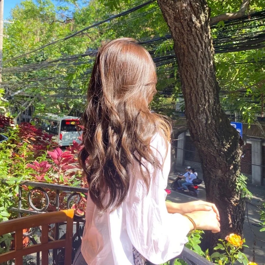 袋鼠丝苗为两餐粤语